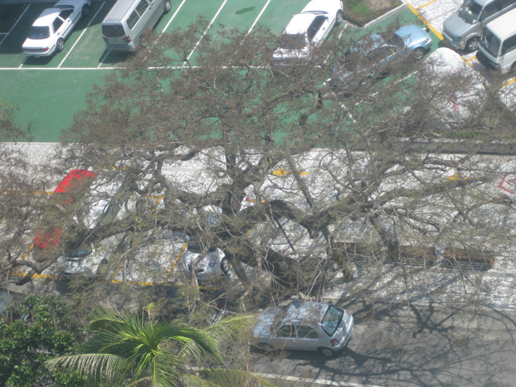 typhoon burinng wind 1